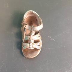 Sandal, as reported by Diergaarde Blijdorp using iLost