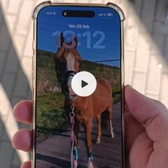 iPhone, iLost-i jakinarazi zaion moduan