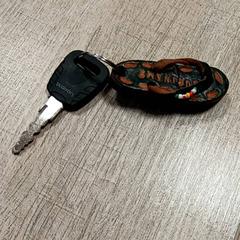 Chiave, come riportato da RRReis Trein Amersfoort / Ede-Wageningen utilizzando iLost