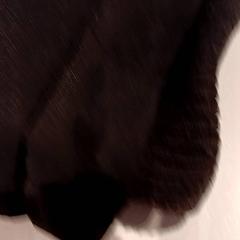 Jacket, as reported by De Efteling using iLost