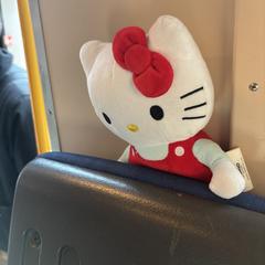 Hello kitty knuffel がiLostに報告されました