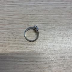 Ringa Zilver, rapporterat av Gemeente Arnhem med iLost