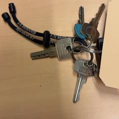 Sleutels, zoals gemeld door RET met iLost