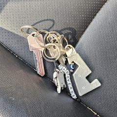 Sleutelbos, iLost-i jakinarazi zaion moduan