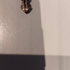 Klíč, jak nahlášeno De Efteling pomocí iLost