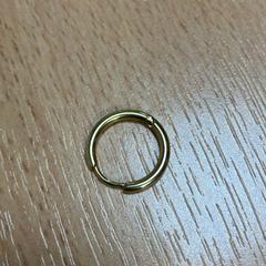 Ohrring gold, gemeldet von Sheraton Brussels Airport Hotel über iLost