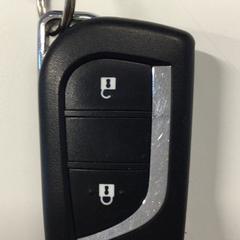 مفتاح السيارة، كما تم الإبلاغ عنه بواسطة Gemeente Haarlem عبر iLost