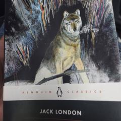 Boek، كما تم الإبلاغ عنه عبر iLost