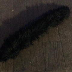 طوق من الفرو Zwart، كما تم الإبلاغ عنه بواسطة De Heeren van Aemstel عبر iLost