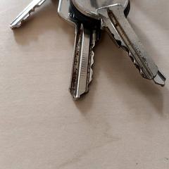 Claus, segons ha informat Centraal magazijn mitjançant iLost