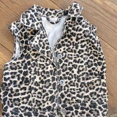 Kinder vestje Panterprint gilet, amint azt DierenPark Amersfoort az iLost segítségével jelentette.