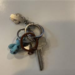 Llave, ha sido reportado por Gemeente Amsterdam - Bureau Gevonden Voorwerpen con iLost