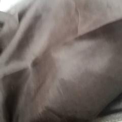 Zsebkendő lenco, amint azt IKEA Matosinhos az iLost segítségével jelentette.