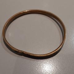 Polsera, segons ha informat Campus Den Haag mitjançant iLost