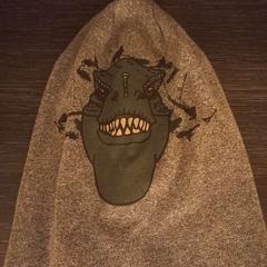 Beanie, ako bolo nahlásené Arriva Limburg Zuid pomocou iLost