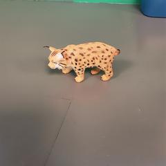 Diertje, gisa salatu by Diergaarde Blijdorp iLost erabiliz