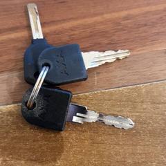 Chaveiro, como reportado por Gemeente Heemstede utilizando o iLost