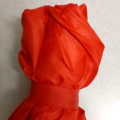 Ombrello, come riportato da Regio Antwerpen - Brussel utilizzando iLost