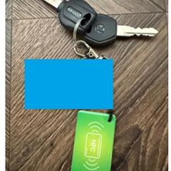 Sleutelbos an iLost gemeldet