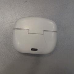 Earbuds, as reported by Walibi Holland using iLost