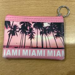 Držák karty Gupta, jak nahlášeno Gemeente Amsterdam pomocí iLost