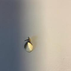 Náušnice, jak nahlášeno Artis pomocí iLost