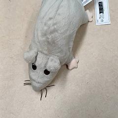Mouse & Toy, as reported by Qbuzz GD Groningen Peizerweg using iLost
