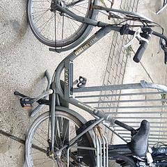 Dámské kolo batavus, jak nahlášeno Stadswerk072 pomocí iLost