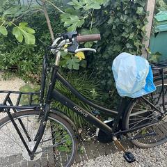 Fiets, como reportado ao iLost