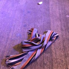 Scialle Meer kleurig, come riportato da De Heeren van Aemstel utilizzando iLost