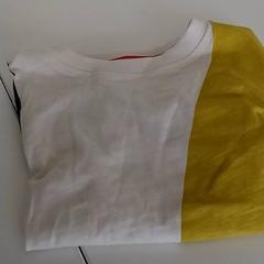 衣類 - Trui がiLostで Regio Antwerpen - Brussel によって報告されました