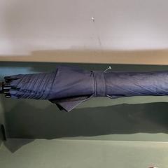 İLost kullanarak Bibliotheek Neude (Utrecht) tarafından bildirildiği gibi Şemsiye