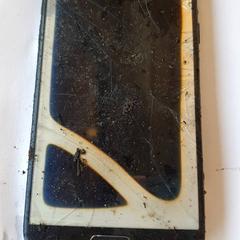 Mobiele telefoon، كما تم الإبلاغ عنه بواسطة DierenPark Amersfoort عبر iLost