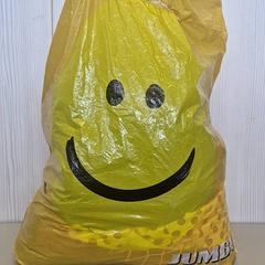 Bag, as reported by Transdev Gooi en Vechtstreek using iLost