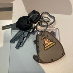 Key Fiets sleutel kat met pizza, ako bolo nahlásené Pathé Nijmegen pomocou iLost