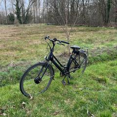 Fietsje Thompson zwart, come riportato da Stad Peer utilizzando iLost