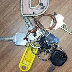 Keys, as reported by Qbuzz DMG using iLost