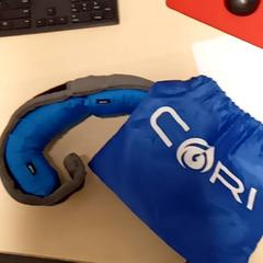 Nakkepute, som rapportert av Mövenpick Hotel Amsterdam City Centre ved bruk av iLost