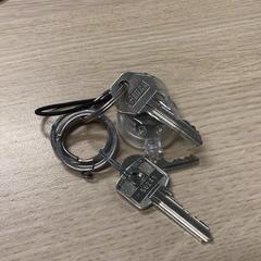 Klíče, jak nahlášeno Gemeente Arnhem pomocí iLost