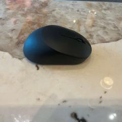 Maus, gemeldet von Van der Valk Hotel Gorinchem über iLost