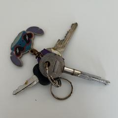 Sleutelbos, jak bylo nahlášeno na iLost