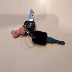 Kulcsok, amint azt LUMC az iLost segítségével jelentette.