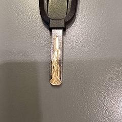 İLost kullanarak Qbuzz GD Groningen HS tarafından bildirildiği gibi Bisiklet anahtarı