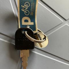 Fietssleutel met Jumbomunt, come riportato a iLost