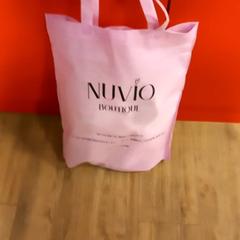 Sac, a été signalé par Arriva Limburg Noord utilisant iLost