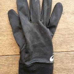 قفاز rechts zwart، كما تم الإبلاغ عنه بواسطة DierenPark Amersfoort عبر iLost