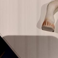 Zabawka, zgłoszono przez De Efteling przy użyciu iLost