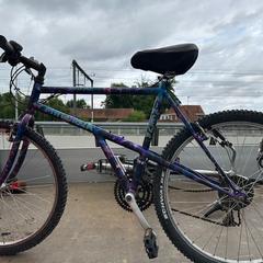 Mountainbike, gemeldet von Fietsdepot Diepenbeek über iLost