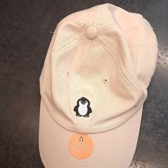 Casquette de baseball, a été signalé par Rotterdam The Hague Airport utilisant iLost