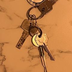 sleutelbos, segons s'ha informat a iLost